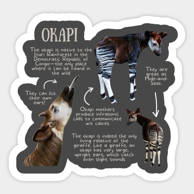 Animal Facts - Okapi Sticker by Animal Facts and Trivias